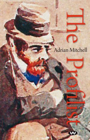 Book cover of The Profilist