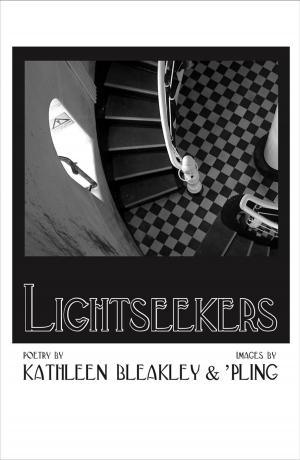 Cover of the book Lightseekers by Adèle Ogiér Jones