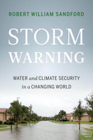 Cover of the book Storm Warning by Pam Asheton