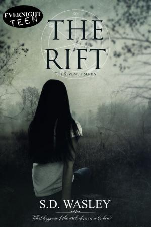Cover of the book The Rift by Megan Gaudino