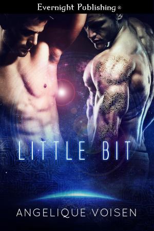 Cover of the book Little Bit by Lilith Duvalier