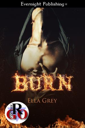 Cover of the book Burn by Jorja Lovett