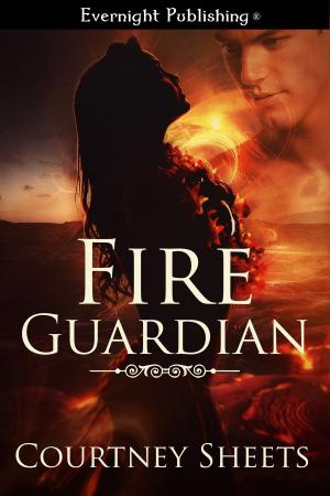 Cover of the book Fire Guardian by Andi Bemner