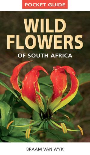 Cover of the book Pocket Guide to Wildflowers of South Africa by Ian Mann
