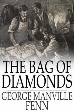 Cover of the book The Bag of Diamonds by Compton MacKenzie