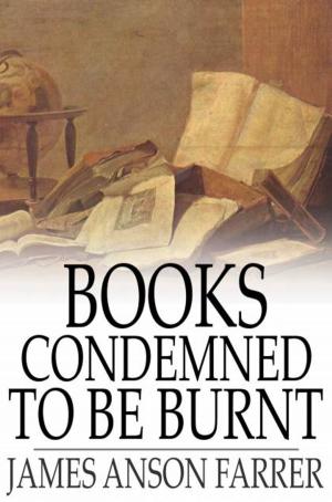 bigCover of the book Books Condemned to Be Burnt by 