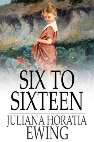 bigCover of the book Six to Sixteen by 