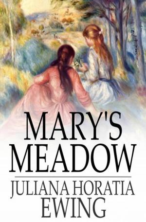 Book cover of Mary's Meadow