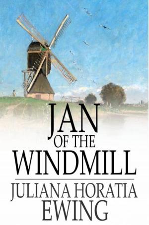 bigCover of the book Jan of the Windmill by 