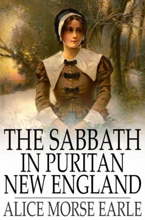 Cover of the book The Sabbath in Puritan New England by Harold Bindloss