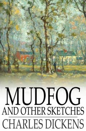 Cover of the book Mudfog and Other Sketches by John Henry Goldfrap