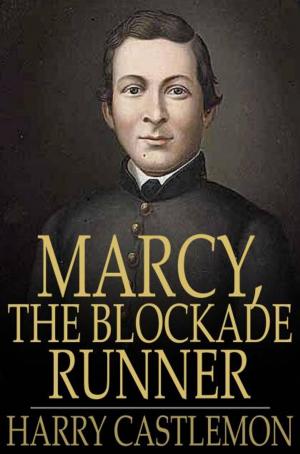 Cover of the book Marcy, the Blockade Runner by Laura Lee Hope