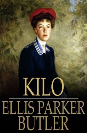 bigCover of the book Kilo by 