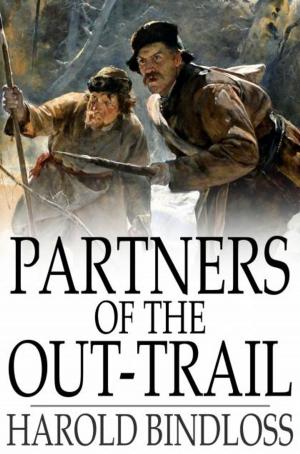 Cover of the book Partners of the Out-Trail by A. Hyatt Verrill