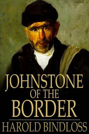 Cover of the book Johnstone of the Border by Harold Bindloss
