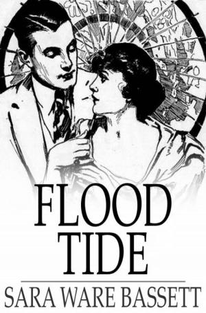 bigCover of the book Flood Tide by 