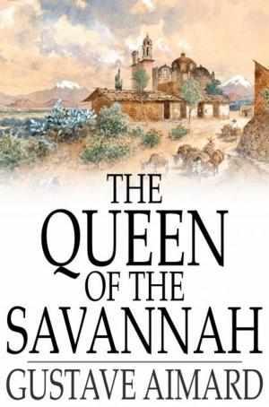 Cover of the book The Queen of the Savannah by Harry Castlemon
