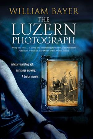 Book cover of The Luzern Photograph