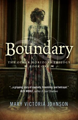 Cover of the book Boundary by Jonathan Standing