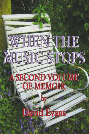 Cover of the book When The Music Stops by Joe Sarge Kinney