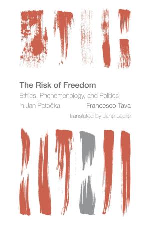 Cover of the book The Risk of Freedom by 