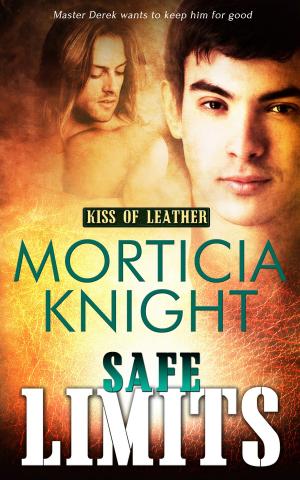 Cover of the book Safe Limits by Katy Swann