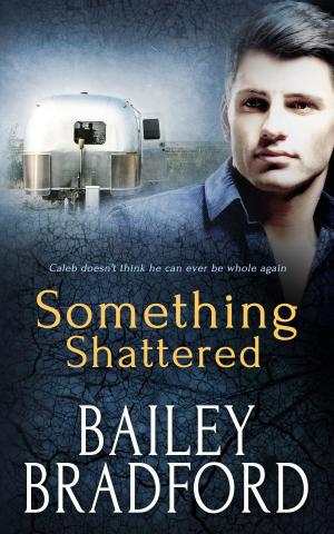 Cover of the book Something Shattered by Bailey Bradford