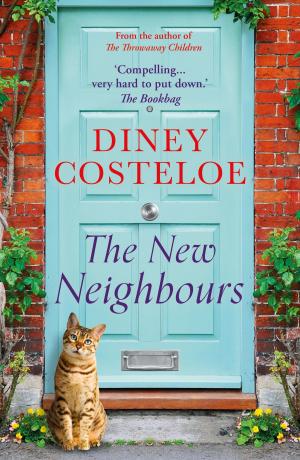 Cover of the book The New Neighbours by Nadine Dorries