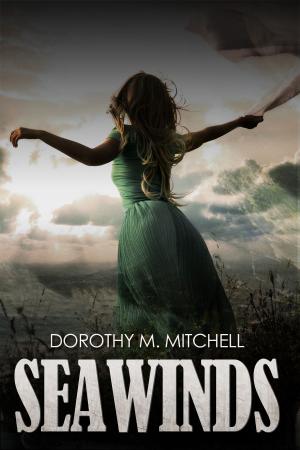 Cover of the book Seawinds by Christine Howard
