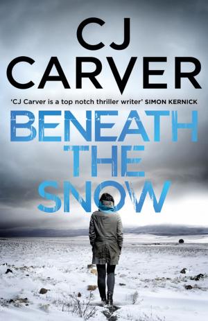 Cover of the book Beneath the Snow by Rachel Delahaye