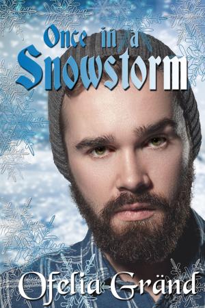 Cover of the book Once in a Snowstorm by Debbie McGowan, Claire Davis, Al Stewart, Victoria Milne, Dawn Sister, J P Walker, Caraway Carter, Ofelia Grand