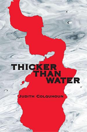 Cover of the book Thicker Than Water by Lisa Powell
