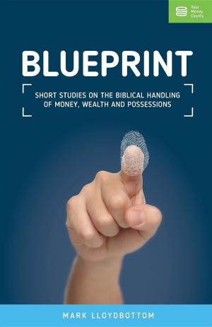 Cover of the book Blueprint by Terry Malone