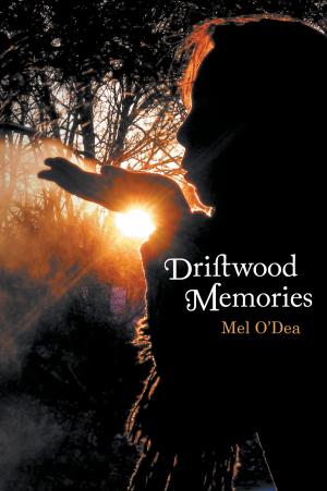 Cover of the book Driftwood Memories by Philippe Fallas, Marie Nothomb, Emma Angulin