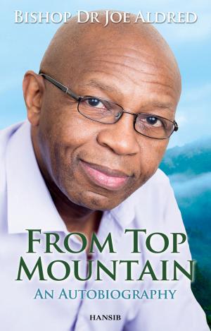 Cover of the book From Top Mountain by Zita Holbourne
