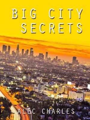 Book cover of Big City Secrets
