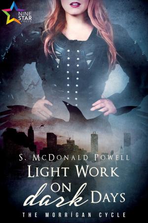 Cover of the book Light Work on Dark Days by Michelle Ogilvy