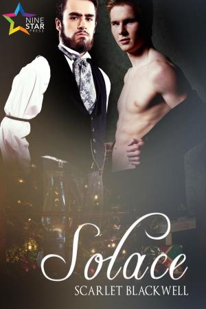 Cover of the book Solace by Addisyn Jacobs