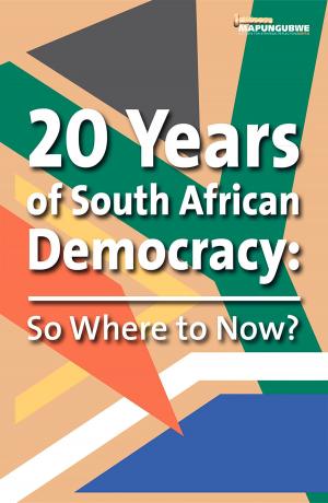 Cover of the book 20 Years of South African Democracy by Ross Anthony, Kevin Bloom, Daouda Cissé, Martyn Davies, Maxime Lauzon-Lacroix, Garth le Pere, Thaddeus Metz, Richard Poplak, Gauhar Raza, Yongjun Zhao