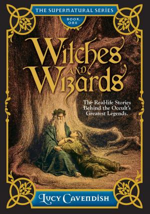 Cover of the book Witches and Wizards by Lucy Burns, Ailsa Burns