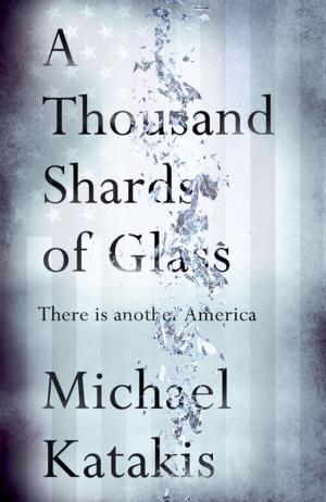 Cover of the book A Thousand Shards of Glass by Polly McGee
