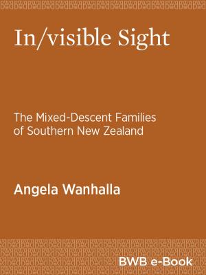 Book cover of In/visible Sight