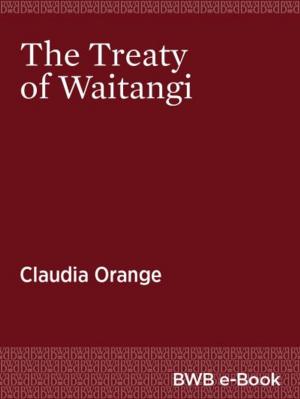 Cover of the book The Treaty of Waitangi by Anne Salmond