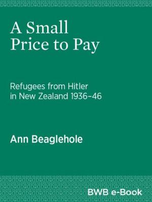 Cover of the book A Small Price to Pay by Anne Salmond