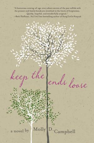Cover of the book Keep the Ends Loose by Steven Manchester