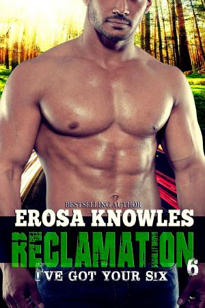 Cover of the book Reclamation: I've Got Your Six by Anita Mooring