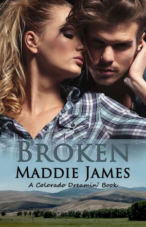 Cover of the book Broken by Rebecca Rohman