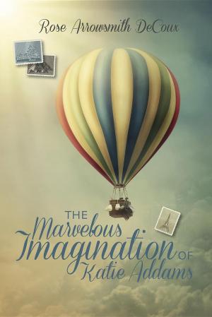 Cover of the book The Marvelous Imagination of Katie Addams by Dr Wise