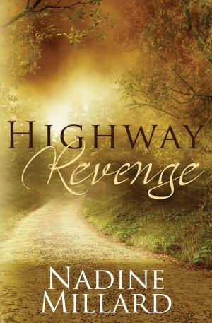 Cover of the book Highway Revenge by Stephanie Fournet