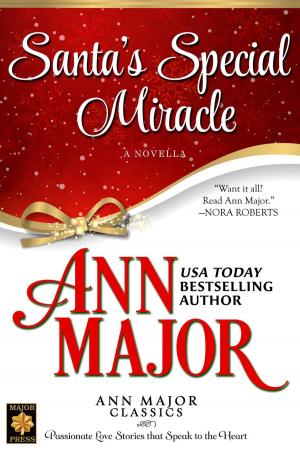 Book cover of Santa's Special Miracle: A Novella
